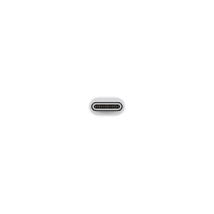 The USB-C connector end of the USB-C to USB Adapter 