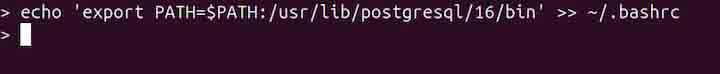 postgres Command in Linux2