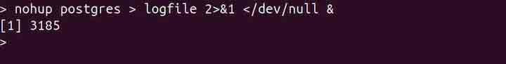 postgres Command in Linux4